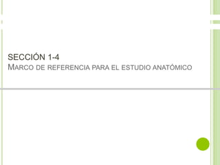 SECCIÓN 1-4 
MARCO DE REFERENCIA PARA EL ESTUDIO ANATÓMICO 
 