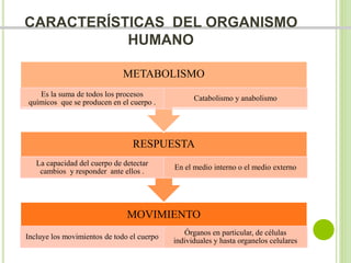 CARACTERÍSTICAS DEL ORGANISMO 
HUMANO 
METABOLISMO 
RESPUESTA 
MOVIMIENTO 
Incluye los movimientos de todo el cuerpo 
Órganos en particular, de células 
individuales y hasta organelos celulares 
La capacidad del cuerpo de detectar 
cambios y responder ante ellos . 
En el medio interno o el medio externo 
Es la suma de todos los procesos 
químicos que se producen en el cuerpo . 
Catabolismo y anabolismo 
 