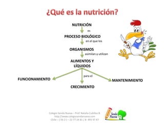 NUTRICIÓN 
es 
PROCESO BIOLÓGICO 
en el que los 
ORGANISMOS 
asimilan y utilizan 
ALIMENTOS Y 
LÍQUIDOS 
para el 
FUNCIONAMIENTO 
CRECIMIENTO 
MANTENIMIENTO 
Colegio Senda Nueva – Prof. Natalia Cubillos B. 
http://www.colegiosendanueva.com 
Chile – ( 56-2 ) – 22 77 24 81 / 8- 493 97 47 
 