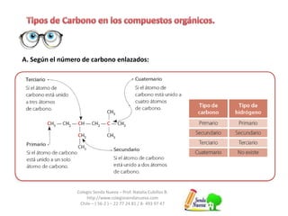 A. Según el número de carbono enlazados: 
Colegio Senda Nueva – Prof. Natalia Cubillos B. 
http://www.colegiosendanueva.com 
Chile – ( 56-2 ) – 22 77 24 81 / 8- 493 97 47 
 
