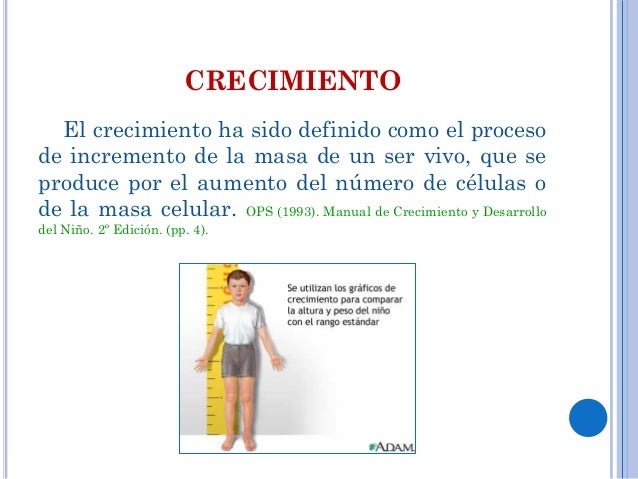 Si influye la creatina sobre la caída de los cabello