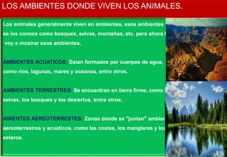 LOS AMBIENTES DONDE VIVEN LOS ANIMALES.
Los animales generalmente viven en ambientes, esos ambientes
se los conoce como bosques, selvas, montañas, etc. pero ahora les
voy a mostrar esos ambientes.
AMBIENTES ACUATICOS: Estan formados por cuerpos de agua,
como rios, lagunas, mares y oceanos, entre otros.
AMBIENTES TERRESTRES: Se encuentran en tierra firme, como las
selvas, los bosques y los desiertos, entre otros.
AMIENTES AEREOTERRESTES: Zonas donde se "juntan" ambientes
aereoterrestres y acuaticos, como las costas, los manglares y los
esteros.
 