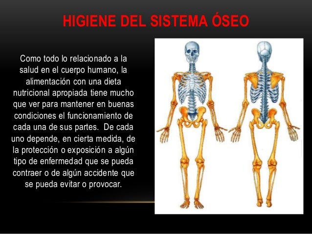 Medidas De Higiene Del Sistema Musculo Esqueletico