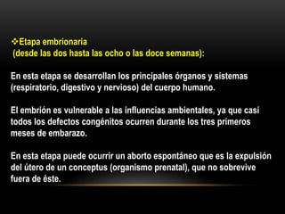 Etapa embrionaria
(desde las dos hasta las ocho o las doce semanas):
En esta etapa se desarrollan los principales órganos y sistemas
(respiratorio, digestivo y nervioso) del cuerpo humano.
El embrión es vulnerable a las influencias ambientales, ya que casi
todos los defectos congénitos ocurren durante los tres primeros
meses de embarazo.
En esta etapa puede ocurrir un aborto espontáneo que es la expulsión
del útero de un conceptus (organismo prenatal), que no sobrevive
fuera de éste.
 