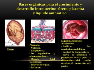 Bases orgánicas para el crecimiento y
desarrollo intrauterino: útero, placenta
y líquido amniótico.
Líquido amniótico:
-Protección.
- Facilitar los
movimientos del feto.
- Control de temperatura.
- Servir de estímulo y
protección inicial para la
dilatación del cuello
uterino al momento del
parto.
Útero
Placenta:
- Nutricia.
- Respiratoria.
- De regulación y
almacenamiento.
- Hígado fetal
transitorio.
- Endocrinológica.
- Excretora.
 