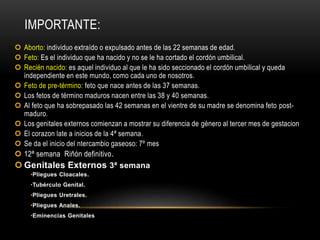 IMPORTANTE:
 Aborto: individuo extraído o expulsado antes de las 22 semanas de edad.
 Feto: Es el individuo que ha nacido y no se le ha cortado el cordón umbilical.
 Recién nacido: es aquel individuo al que le ha sido seccionado el cordón umbilical y queda
independiente en este mundo, como cada uno de nosotros.
 Feto de pre-término: feto que nace antes de las 37 semanas.
 Los fetos de término maduros nacen entre las 38 y 40 semanas.
 Al feto que ha sobrepasado las 42 semanas en el vientre de su madre se denomina feto post-
maduro.
 Los genitales externos comienzan a mostrar su diferencia de género al tercer mes de gestacion
 El corazon late a inicios de la 4ª semana.
 Se da el inicio del ntercambio gaseoso: 7º mes
 12ª semana Riñón definitivo.
 Genitales Externos 3ª semana
•Pliegues Cloacales.
•Tubérculo Genital.
•Pliegues Uretrales.
•Pliegues Anales.
•Eminencias Genitales
 