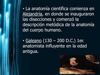 Page 16
• La anatomía científica comienza en
Alejandría, en donde se inauguraron
las disecciones y comenzó la
descripción metódica de la anatomía
del cuerpo humano.
• Galeano (130 – 200 D.C.) 1er.
anatomista influyente en la edad
antigua.
 