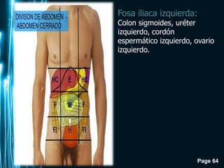 Page 64
Fosa iliaca izquierda:
Colon sigmoides, uréter
izquierdo, cordón
espermático izquierdo, ovario
izquierdo.
 