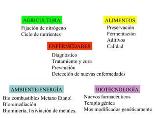 AGRICULTURA ALIMENTOS
ENFERMEDADES
AMBIENTE/ENERGÍA BIOTECNOLOGÍA
Diagnóstico
Tratamiento y cura
Prevención
Detección de nuevas enfermedades
Fijación de nitrógeno
Ciclo de nutrientes
Preservación
Fermentación
Aditivos
Calidad
Bio combustibles Metano Etanol
Bioremediación
Biominería, lixiviación de metales.
Nuevos farmacéuticos
Terapia génica
Mos modificados genéticamente
 