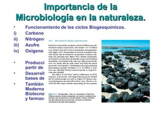 Importancia de laImportancia de la
Microbiología en la naturaleza.Microbiología en la naturaleza.
• Funcionamiento de los ciclos Biogeoquímicos.
i) Carbono
ii) Nitrógeno
iii) Azufre
iv) Oxígeno
• Producción primaria. Esto es generación de biomasa a
partir de fotosíntesis.
• Desarrollo de la microbiología ha permitido sentar las
bases de la revolución de la biomedicina.
• También permitió el surgimiento de la Biotecnología
Moderna. Aplicando el conocimiento en áreas como la
Biotecnología Ambiental, Biotecnología de los Alimentos
y farmacéutica.
 