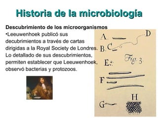 Historia de la microbiologíaHistoria de la microbiología
Descubrimiento de los microorganismos
•Leeuwenhoek publicó sus
decubrimientos a través de cartas
dirigidas a la Royal Society de Londres.
Lo detallado de sus descubrimientos,
permiten establecer que Leeuwenhoek,
observó bacterias y protozoos.
 