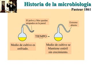 Medio de cultivo es
enfriado.
Medio de cultivo se
Mantiene estéril
sin crecimiento.
El polvo y Mos quedan
atrapados en la pared
TIEMPO
Extremo
abierto
Historia de la microbiologíaHistoria de la microbiología
Pasteur 1861Pasteur 1861
 