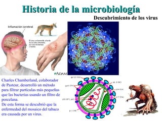Historia de la microbiologíaHistoria de la microbiología
Descubrimiento de los virusDescubrimiento de los virus
Charles Chamberland, colaborador
de Pasteur, desarrolló un método
para filtrar partículas más pequeñas
que las bacterias usando un filtro de
porcelana.
De esta forma se descubrió que la
enfermedad del mosaico del tabaco
era causada por un virus.
 