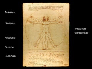 Anatomía
Fisiología
Psicología
Sociología
Filosofía
1 eucariota
9 procariotas
 