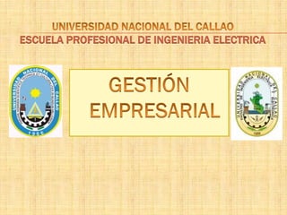 ESCUELA PROFESIONAL DE INGENIERIA ELECTRICA
 