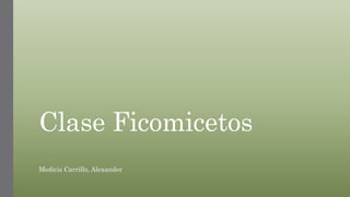 Clase Ficomicetos
Medicis Carrillo, Alexander
 