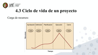 30
4.3 Ciclo de vida de un proyecto
Carga de recursos:
 