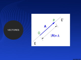 VECTORES
 
