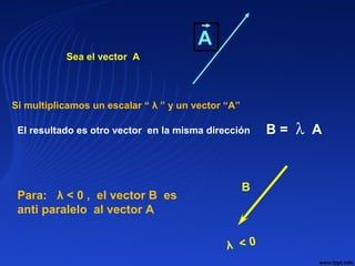 A
Sea el vector A
B = λ AEl resultado es otro vector en la misma dirección
Si multiplicamos un escalar “ λ ” y un vector “A”
Para: λ < 0 , el vector B es
anti paralelo al vector A
B
 