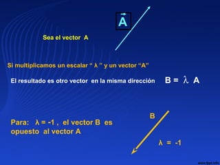 A
Sea el vector A
B = λ AEl resultado es otro vector en la misma dirección
Si multiplicamos un escalar “ λ ” y un vector “A”
Para: λ = -1 , el vector B es
opuesto al vector A
B
λ = -1
 