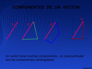 COMPONENTES DE UN VECTOR
A
u
A
u
A
u
A
u
Un vector tiene muchas componentes , un caso particular
son las componentes rectangulares
 