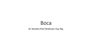Boca
Dr. Sócrates Pozo Verdesoto. Esp; Mg.
 