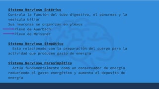 +Sistema Nervioso Entérico
Controla la función del tubo digestivo, el páncreas y la
vesícula biliar
Sus neuronas se organizan en plexos
Plexo de Auerbach
Plexo de Meissner
Sistema Nervioso Simpático
Esta relacionado con la preparación del cuerpo para la
actividad que producen gasto de energía
Sistema Nervioso Parasimpático
Actúa fundamentalmente como un conservador de energía
reduciendo el gasto energético y aumenta el deposito de
energía
 