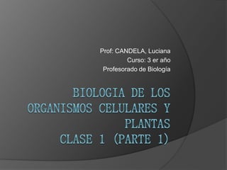 Prof: CANDELA, Luciana
Curso: 3 er año
Profesorado de Biología
 