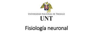 Fisiología neuronal
 