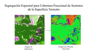 Segregación Espectral para Cobertura Fraccional de Sustratos
de la Superficie Terrestre
Imagen de
reflectancia
Imagen de cobertura
fraccional
 