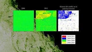 • 2010-2011
• 2009-2010
• 2005-2009
• 2000-2005
2000 2011
Historia del cambio en la
cobertura terrestre
 
