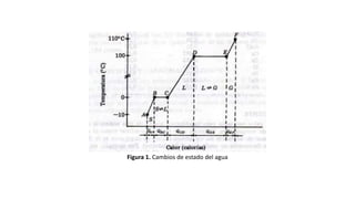 Figura 1. Cambios de estado del agua
 