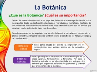 La Botánica
¿Qué es la Botánica? ¿Cuál es su importancia?
Dentro de su estudio en cuanto a los vegetales, la Botánica se e...