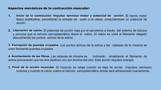 Clase 1. fisiolofia. Contraccion muscular.pptx