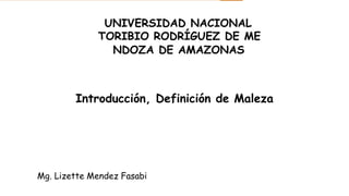 Introducción, Definición de Maleza
Mg. Lizette Mendez Fasabi
UNIVERSIDAD NACIONAL
TORIBIO RODRÍGUEZ DE ME
NDOZA DE AMAZONAS
 