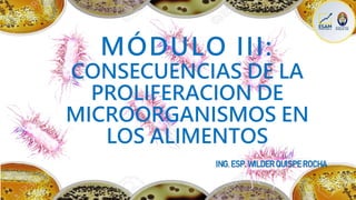 MÓDULO III:
CONSECUENCIAS DE LA
PROLIFERACION DE
MICROORGANISMOS EN
LOS ALIMENTOS
ING. ESP. WILDER QUISPE ROCHA
 