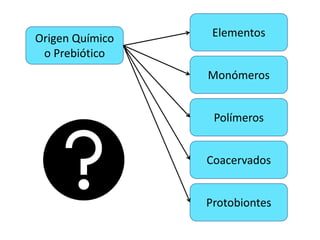 Origen Químico
o Prebiótico
Elementos
Monómeros
Polímeros
Coacervados
Protobiontes
 