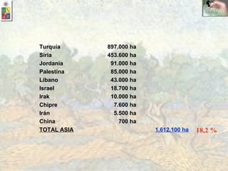 18,2 % Turquía 897.000 ha Siria 453.600 ha Jordania 91.000 ha Palestina 85.000 ha Líbano 43.000 ha Israel 18.700 ha Irak 10.000 ha Chipre 7.600 ha Irán 5.500 ha China 700 ha TOTAL ASIA 1.612.100 ha 