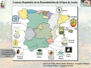 Montes de Toledo Priego de Córdoba Baena Sierra Mágina Montes de Granada Sierra Segura Sierra de Cazorla Bajo Aragón Les Garrigues Monterrubio Sierra de Cádiz, Monte Rubio (Badajoz), Axarquia (Málaga) El Condado (Jaén) y Campiñas de Jaén Consejo Regulador de la Denominación de Origen de Aceite  Gata-Hurdes Siurana                           L.A. County Fair Los Angeles (V/04) California Olive Oil Council                                         