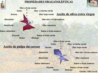 Aceite de pulpa sin carozo Aceite de oliva extra virgen PROPIEDADES ORAGANOLÉPTICAS Fuente: Alfa Laval 