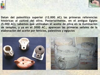 Datan del paleolítico superior (12.000 AC) las primeras referencias históricas al cultivo del olivo. Posteriormente, en el antiguo Egipto (5.000 AC), sabemos que utilizaban el aceite de oliva en la iluminación de templos, y ya en el 3000 AC., aparecen las primeras señales de la elaboración del aceite por fenicios, palestinos y egipcios 