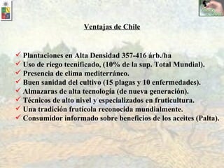 Plantaciones en Alta Densidad 357-416 árb./ha Uso de riego tecnificado, (10% de la sup. Total Mundial). Presencia de clima mediterráneo. Buen sanidad del cultivo (15 plagas y 10 enfermedades). Almazaras de alta tecnología (de nueva generación). Técnicos de alto nivel y especializados en fruticultura. Una tradición frutícola reconocida mundialmente. Consumidor informado sobre beneficios de los aceites (Palta). Ventajas de Chile 