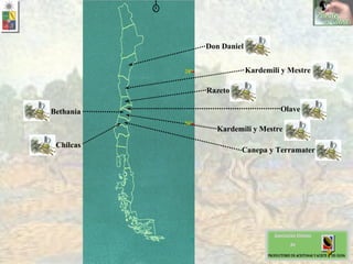 . Don Daniel Olave Kardemili y Mestre Razeto Kardemili y Mestre Canepa y Terramater Chilcas Bethania 36° 28° N 