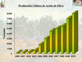 Producción Chilena de Aceite de Oliva 
