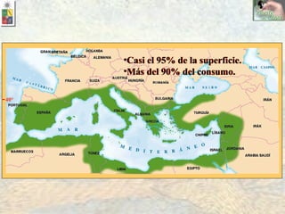 40° Casi el 95% de la superficie. Más del 90% del consumo. Casi el 95% de la superficie. Más del 90% del consumo. 