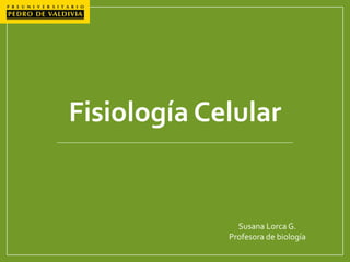 Susana Lorca G.
Profesora de biología
Fisiología Celular
 