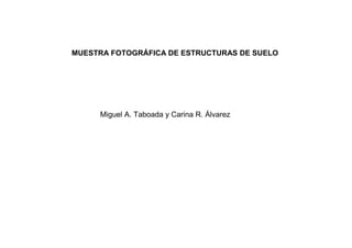 MUESTRA FOTOGRÁFICA DE ESTRUCTURAS DE SUELO




     Miguel A. Taboada y Carina R. Álvarez
 
