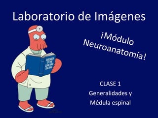 Laboratorio de Imágenes
CLASE 1
Generalidades y
Médula espinal
 