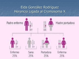 Eida González Rodríguez
Herencia Ligada al Cromosoma X
 