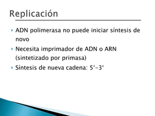 ADN polimerasa no puede iniciar síntesis de novo Necesita imprimador de ADN o ARN (sintetizado por primasa) Síntesis de nueva cadena: 5‘-3‘ 